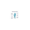 Vibromasseur rabbit bleu USB Embrace Me Satisfyer 